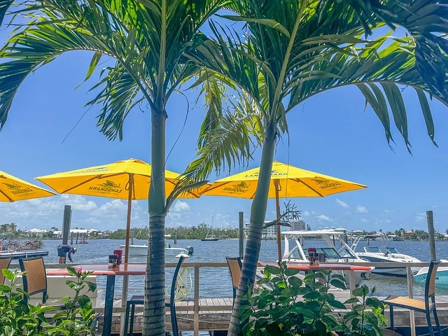 florida-8967159_640